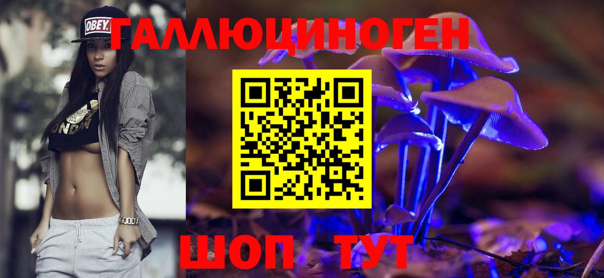 Псилоцибиновые грибы Psilocybine cubensis  Псилоцибиновые грибы MAGIC MUSHROOMS  Камышлов  Вход с VPN 
